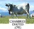 Chambresdhotes.org